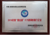 2016年度“新丝路”十大最具影...