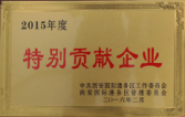 特别贡献奖