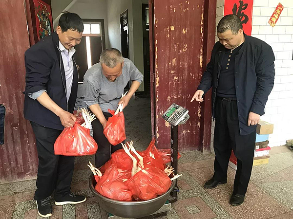 微信图片_20190505114037.jpg