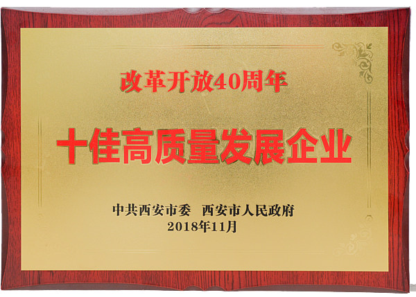 十佳高质量发展企业